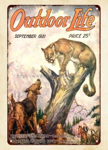 Targa in metallo con copertina - Outdoor Hunting Dogs recensione e prezzo