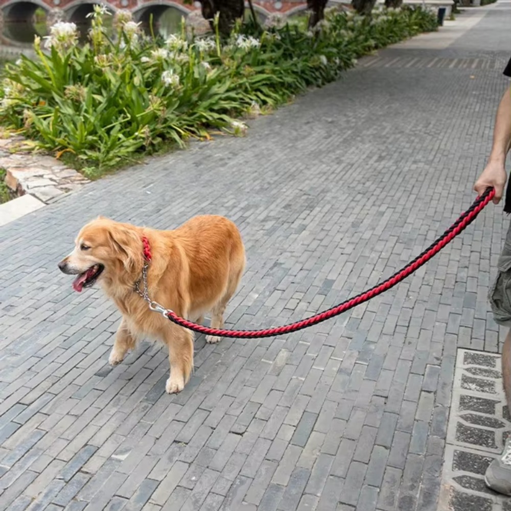 Guinzaglio per Cani di Taglia  - Outdoor Hunting Dogs recensione e prezzo
